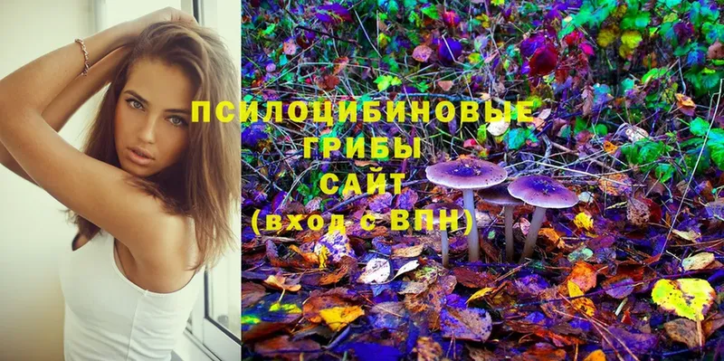 Псилоцибиновые грибы Psilocybine cubensis  купить  сайты  гидра онион  Аксай 